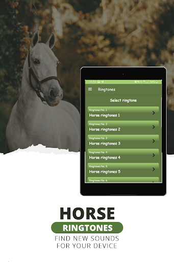 Horse ringtones horse sounds
