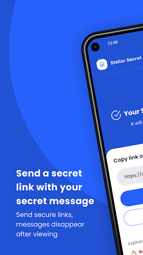 Stellar Security - Secret Screen 3