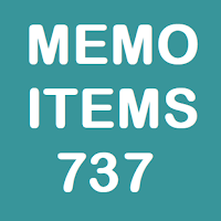 Memory Items 737 Lite