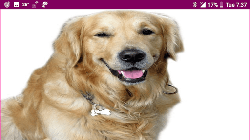 Learn Gujarati Wildlife and Body Parts Names