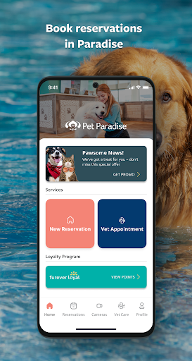 Uygulama önizlemesi