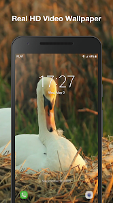 Captura 3 Cisnes Fondo Animado android