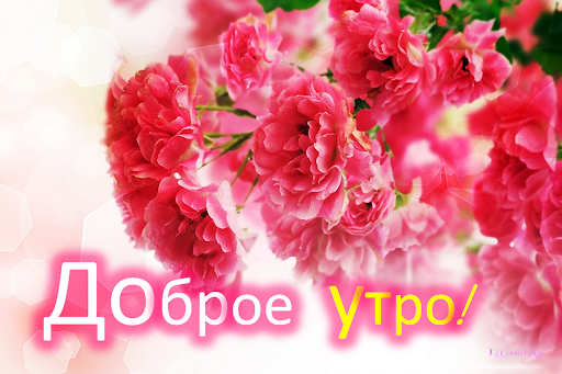 Good Morning- Night in Russian Screen 2