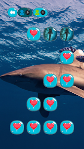 Shark Match