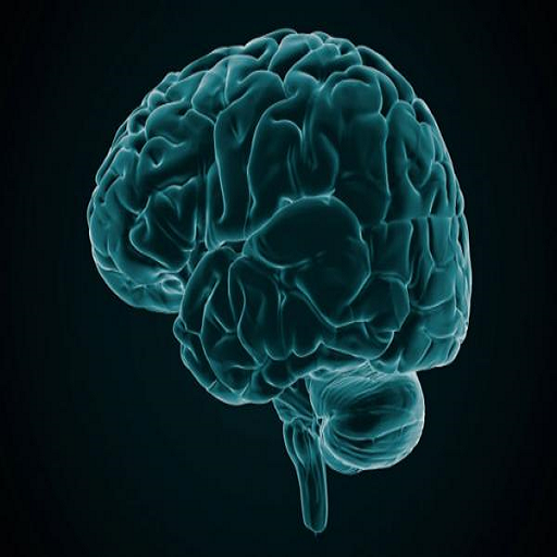 NeuroQuiz do GTED UFFS logo