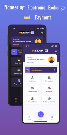 Peeap Pay Screen 2