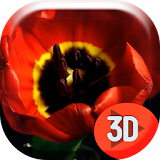 Spring Tulip Flower Live WP icon