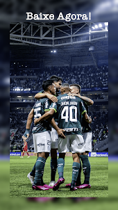 Palmeiras Wallpapers HD 4K