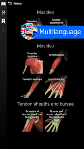 Anatomy Learning-3D Anatomy Atlas MOD APK v2.1.374 (Full version Unlocked) Gallery 5