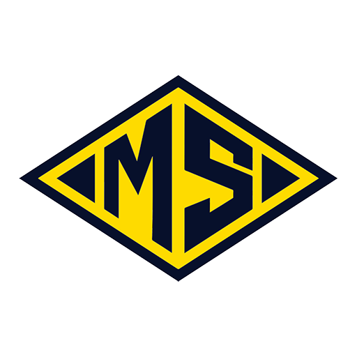 Escola MAGSUL logo