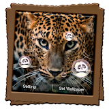 Leopard Live Wallpaper icon