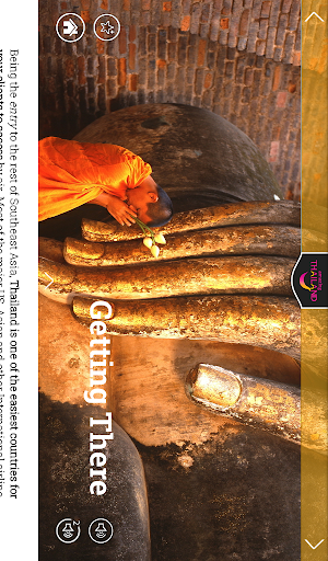 Thai the Knot Sales Companion Screen 2