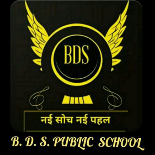 BDS Academy logo