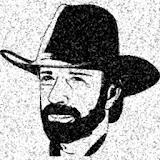Chuck Norris Ultimate Guide icon