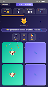 Screenshot image