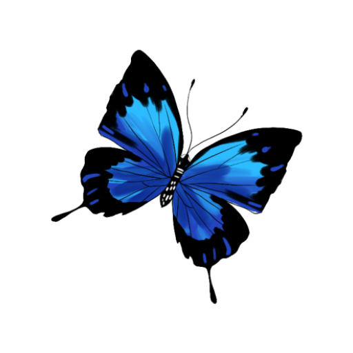 ANENO logo