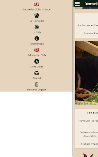 Rottweiler Club du Maroc