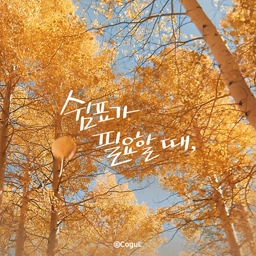 카카오톡 테마 - 쉼표가 필요할 때_가을 하늘 logo