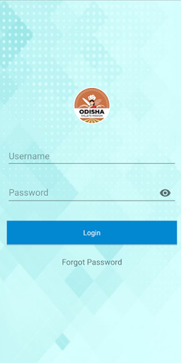 OMM Data Collection Screen 2