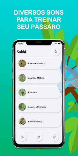 Android application Brazilian Sabiá bird Songs screenshort