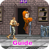 Guide for Final Fight Streetwise icon