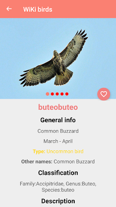 Bird Identificationのおすすめ画像4