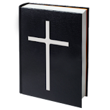 Holy Bible for youth icon