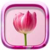 Picture Puzzle: Flowers icon