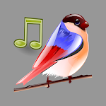 Cover Image of Download Birds Sounds Relax and Sleep 4.4.40092 APK