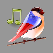 Birds Sounds Relax and Sleep 5.0.1-40048 Icon