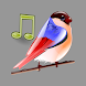 鳥の音 - Androidアプリ
