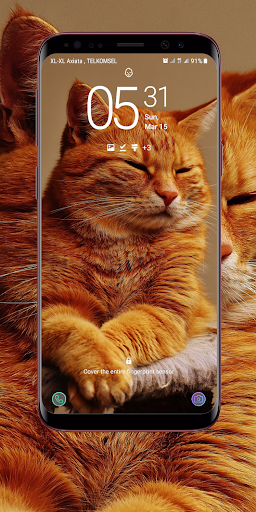 Cute Cat Wallpaper Screen 2