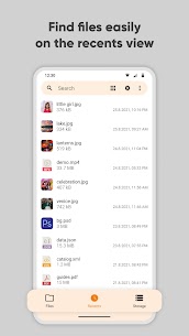 Simple File Manager Pro v6.16.1 MOD APK (Paid Unlocked) 4
