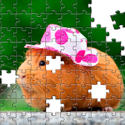 Top 21 Puzzle Apps Like Guinea Pig Puzzle - Best Alternatives