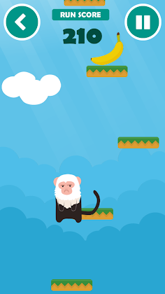 Capuchin Jump! - Screenshot 2