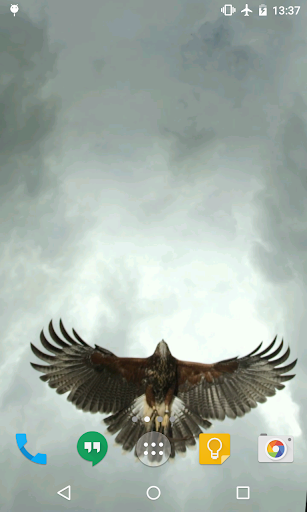 Android application Eagle Live Wallpaper screenshort