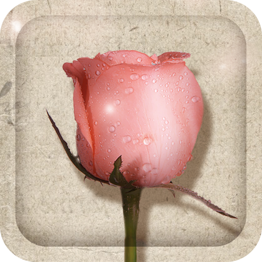 Rose And Poetry Live Wallpaper logo