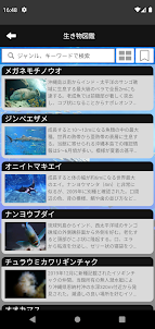 海洋博公園×沖縄美ら海水族館アプリ