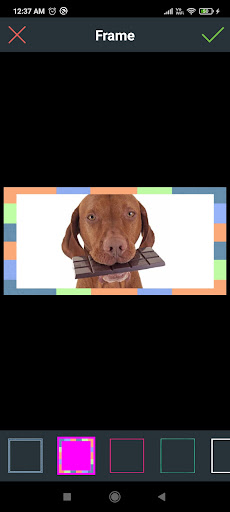 Picoda - Photo Editor Screen 3