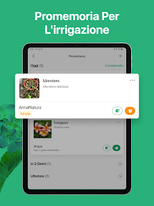 Immagine screenshot