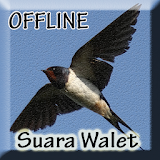 Suara Burung Walet Inap Asli icon