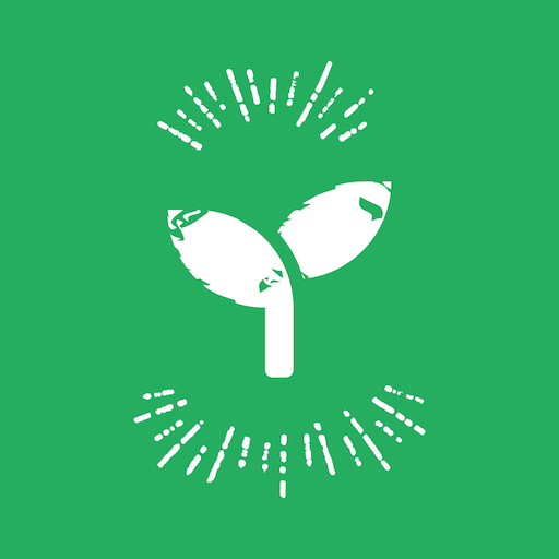 A Miracle Every Day logo