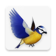 Top 20 Adventure Apps Like Bird Flight - Best Alternatives
