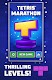 screenshot of Tetris®