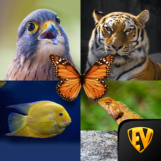 Zoology: Animal Kingdom Study 1.0.4 Icon