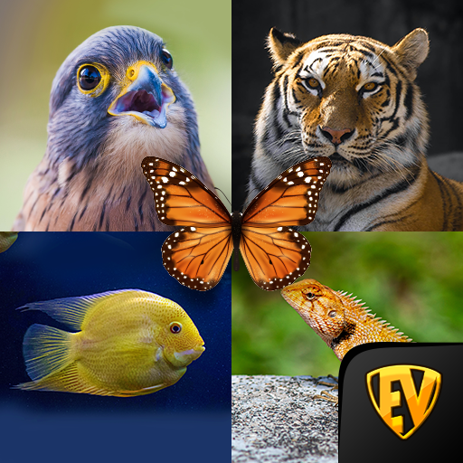 Zoology: Animal Kingdom Study logo