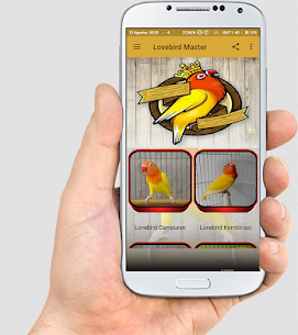 Download TERAPI LOVEBIRD MASTER v32.9 (Unlimited Cash) Free For Android 2