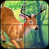 Jungle Sniper: Deer Hunting icon