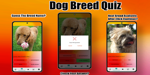 Dog Breed Smart Identifier