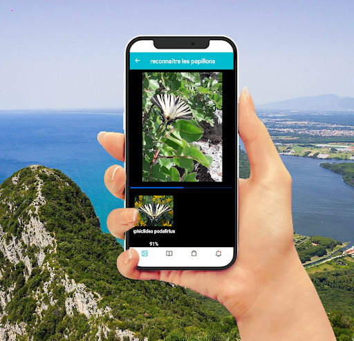 Android application Insect Identification screenshort